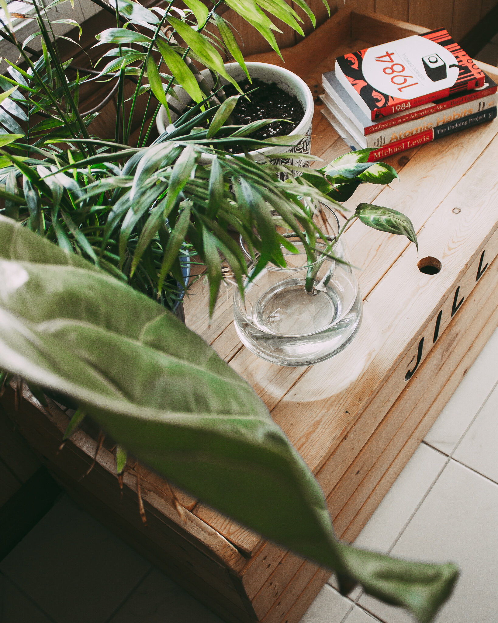 Work from home tips